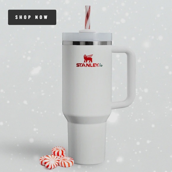 LIMITED EDITION MISTLETOE TWIST Stanley 40oz H2.0 Tumbler. New with tags. - Picture 2 of 5